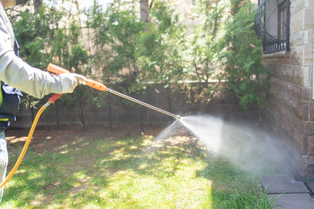 Best Seasonal Pest Control (e.g., summer mosquitoes, winter rodents)  in Western Lake, TX